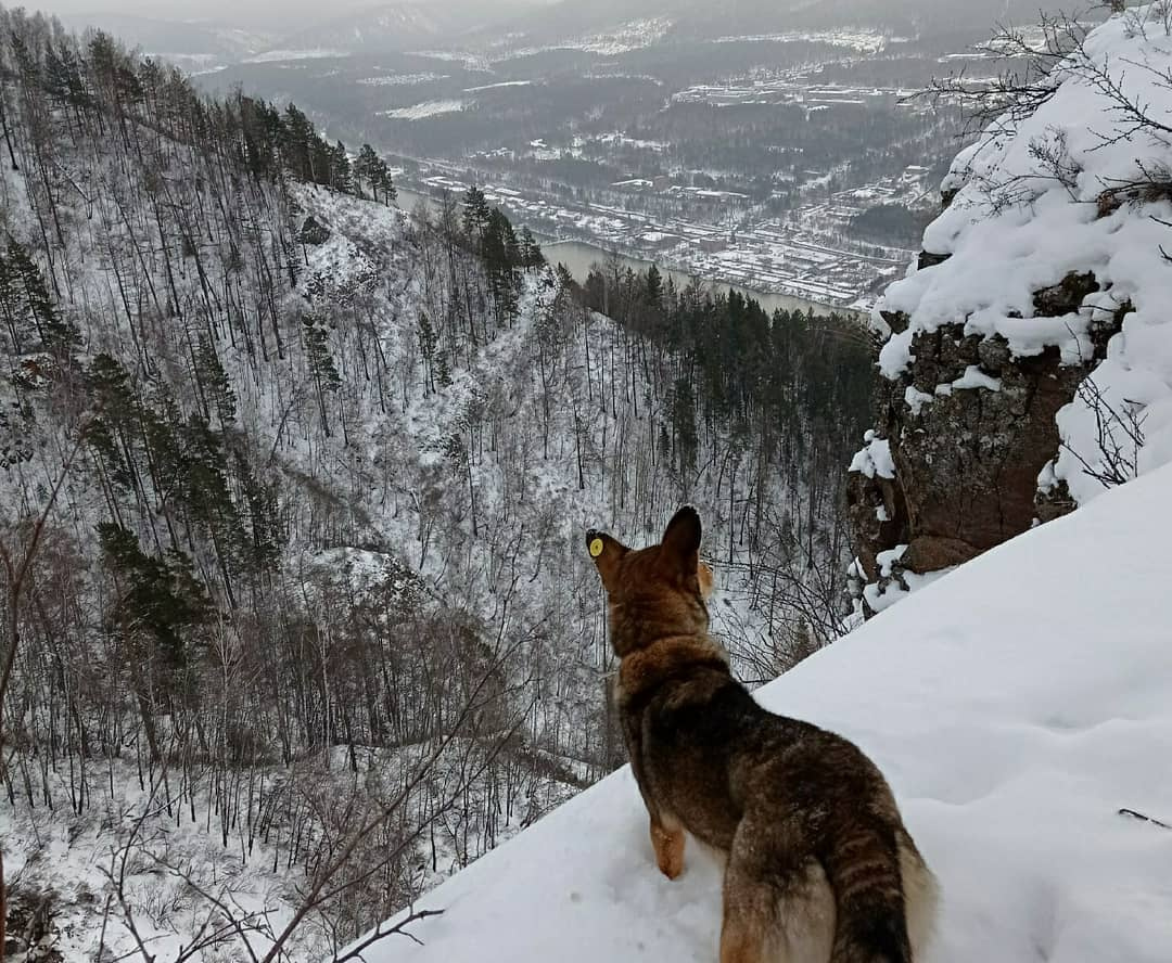 Шикарная панорама с Дивногорской видовки Шикарная панорама с Дивногорской видовки