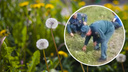 Под Новосибирском пожарных заставили косить траву маникюрными ножницами — они сняли это на видео