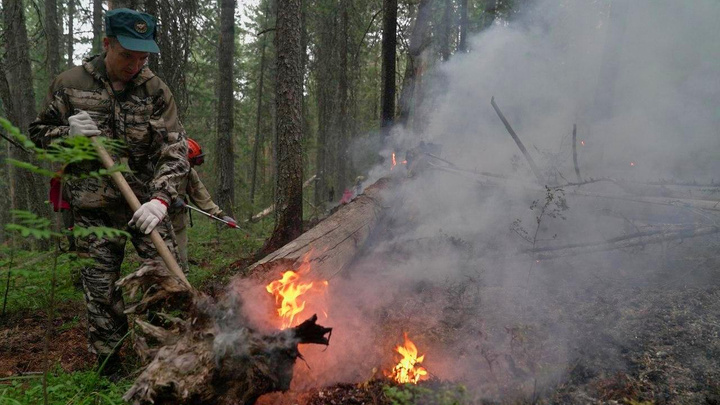 Лесной пожар в заповеднике «Денежкин Камень» разросся до 19 гектаров. Публикуем видео с дрона