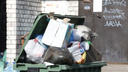 10 мусорных перевозчиков Архангельской области объявили забастовку из-за действий регоператора