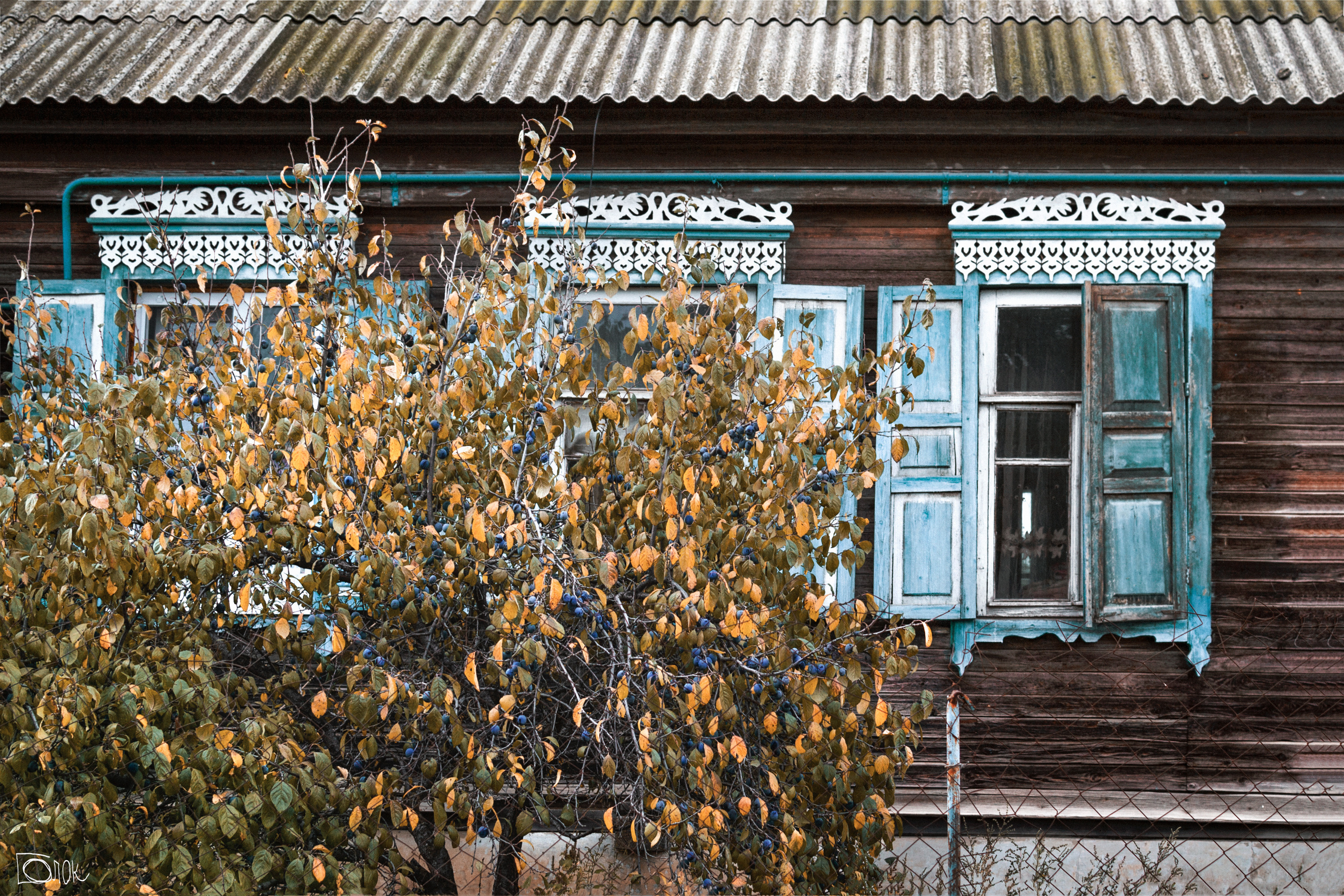 Главным украшением домов еще не так давно были резные наличники и ставни Главным украшением домов еще не так давно были резные наличники и ставни