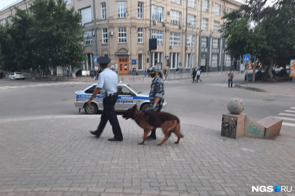 Полицейские приехали с собаками