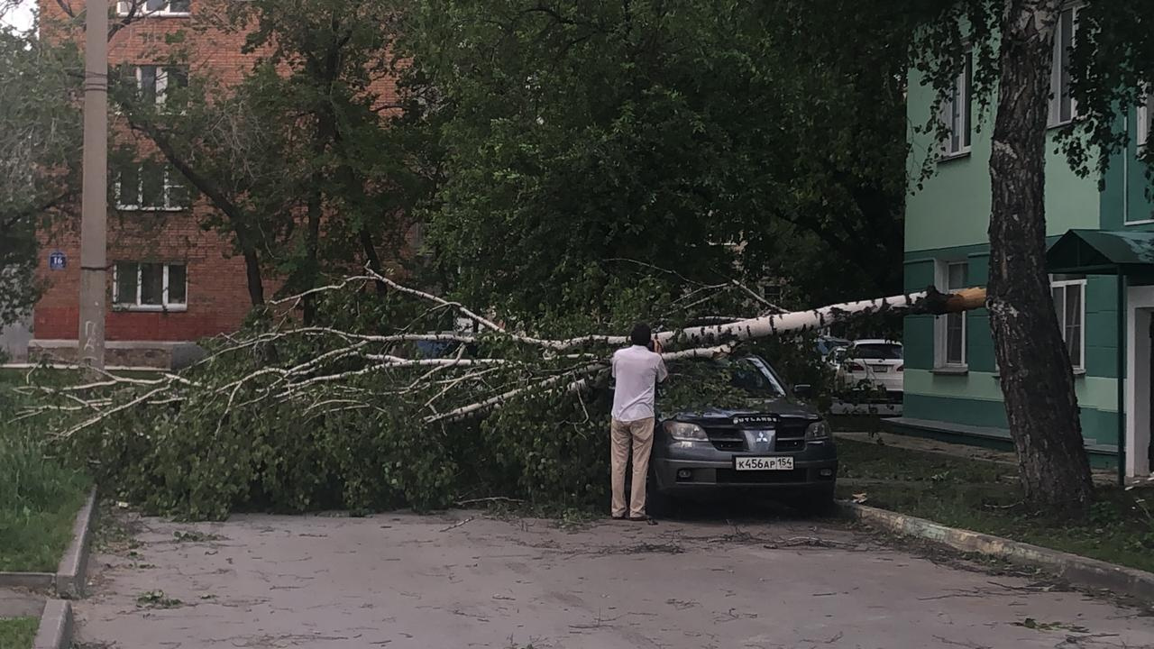 Ветер упал точно. Сильный ветер в Новосибирске прикол. 26 Мая штормовое предупреждение.