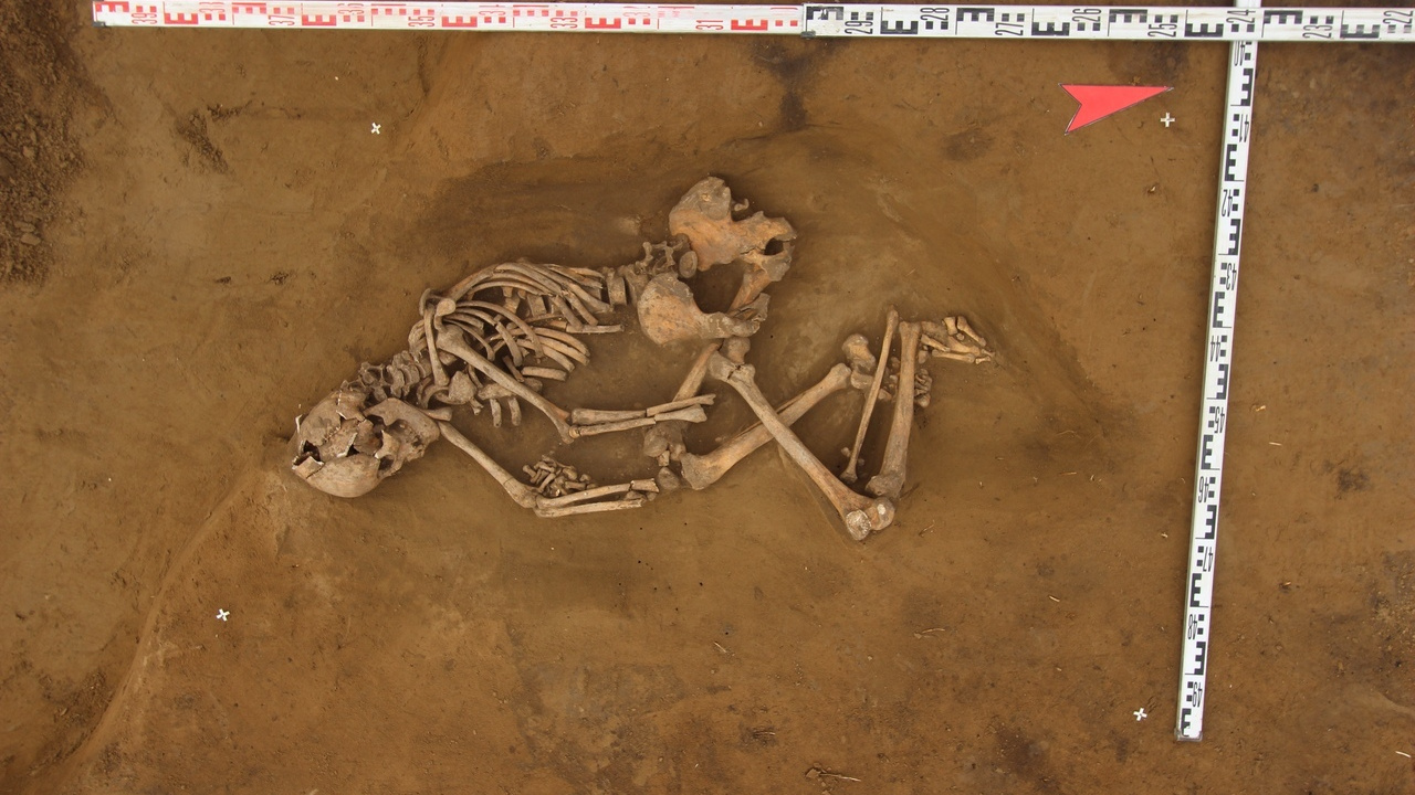 У Николаевского моста археологи нашли средневековый скелет и останки древних оленей