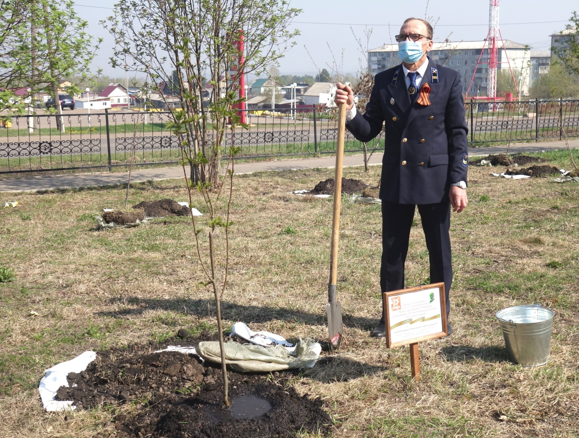 Высадка деревьев в «Саду памяти» в Бородино