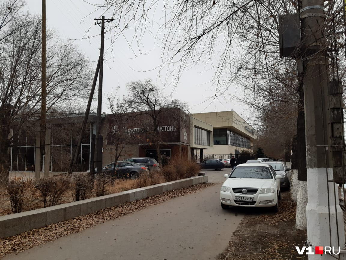 А напротив — пост ГИБДД