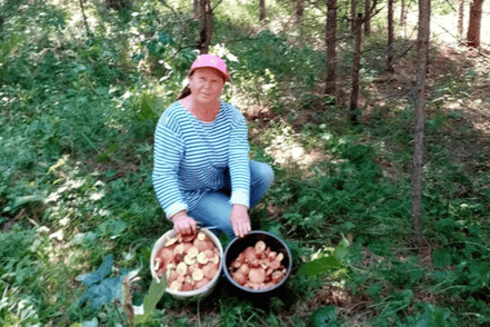 Юлия Лакоткина собрала два ведра в лесу недалеко от дома Юлия Лакоткина собрала два ведра в лесу недалеко от дома