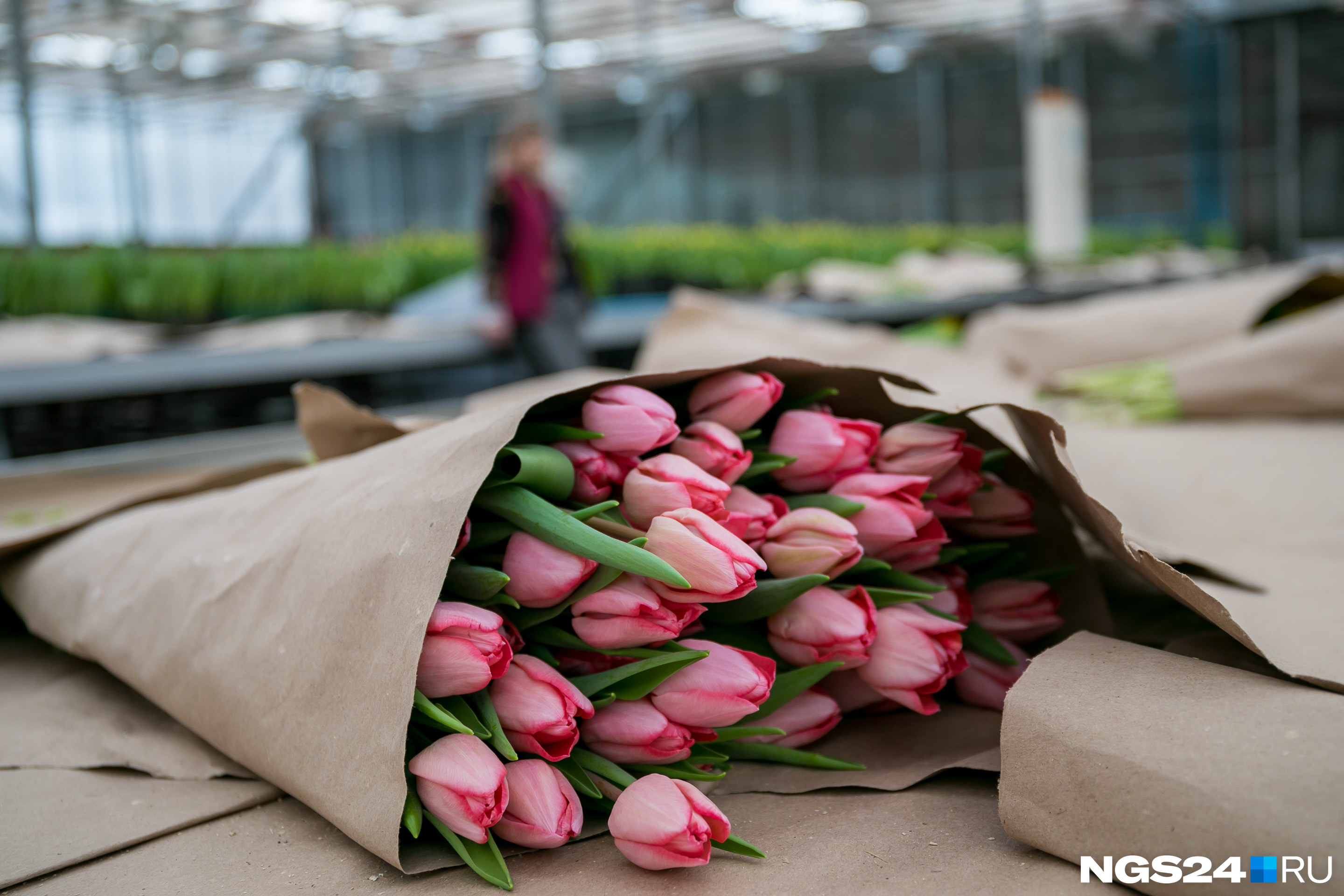 УЗС — крупнейшая оптовая база для закупки тюльпанов в городе