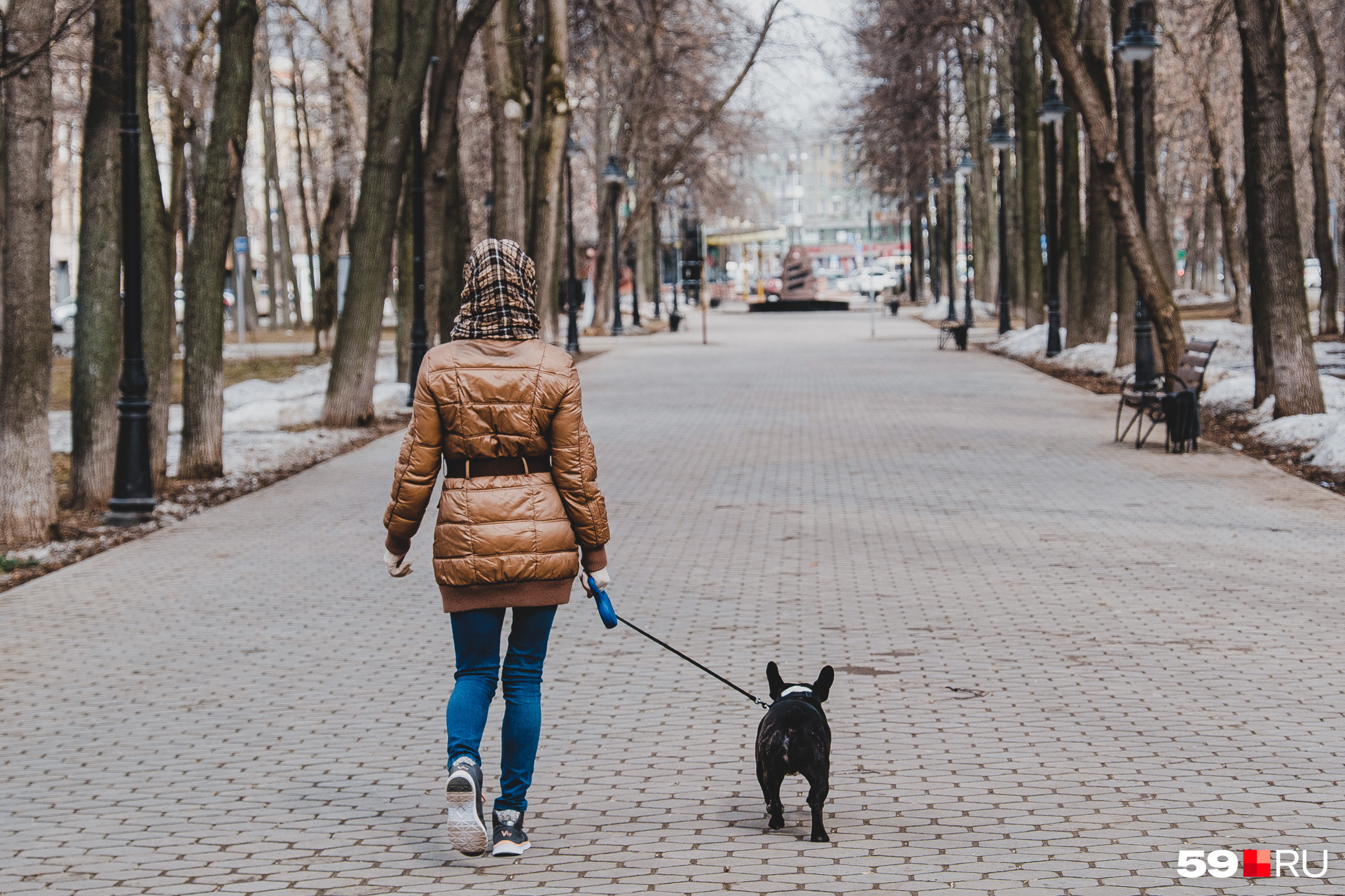 В Нижнем Новгороде нужно разрешение, даже  чтобы погулять с собакой. В Перми его получать для этого не требуется