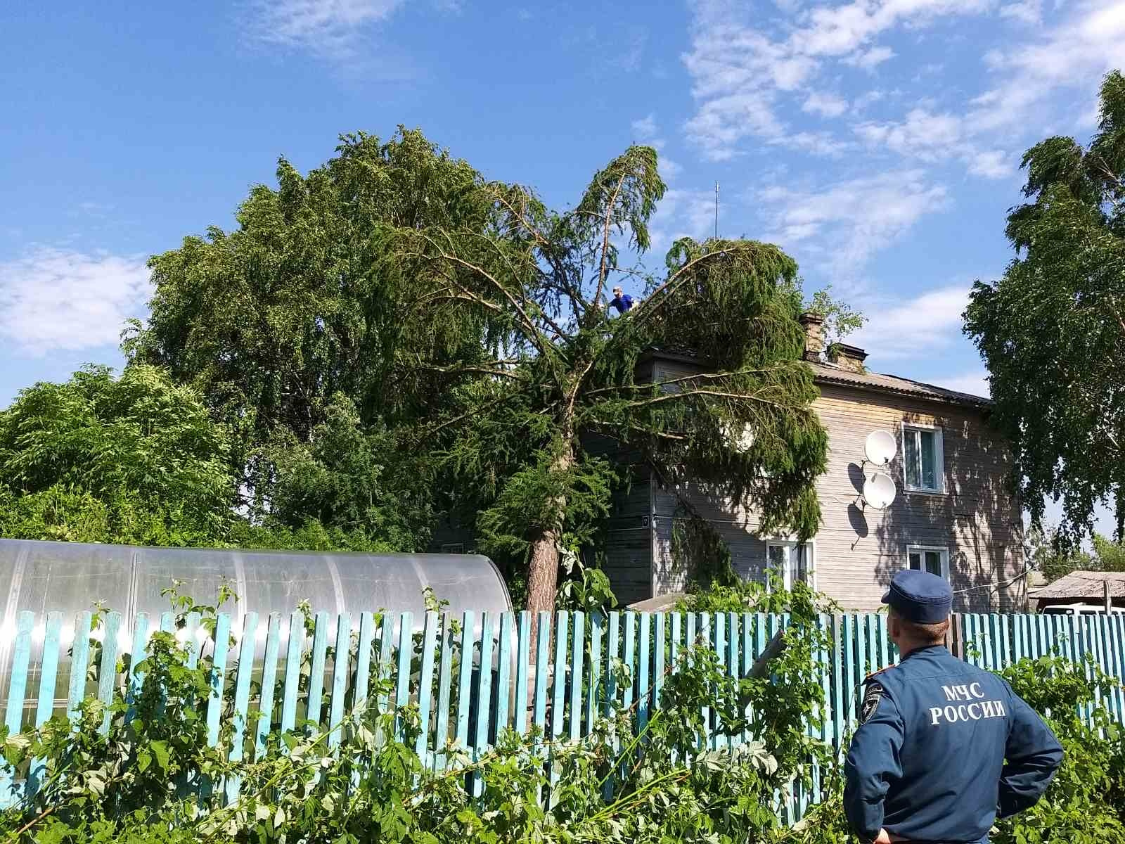 В Пинежский район прибыли спасатели для помощи местной администрации В Пинежский район прибыли спасатели для помощи местной администрации