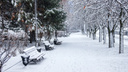 Мороз и снег: какая погода ждет ростовчан на этой неделе