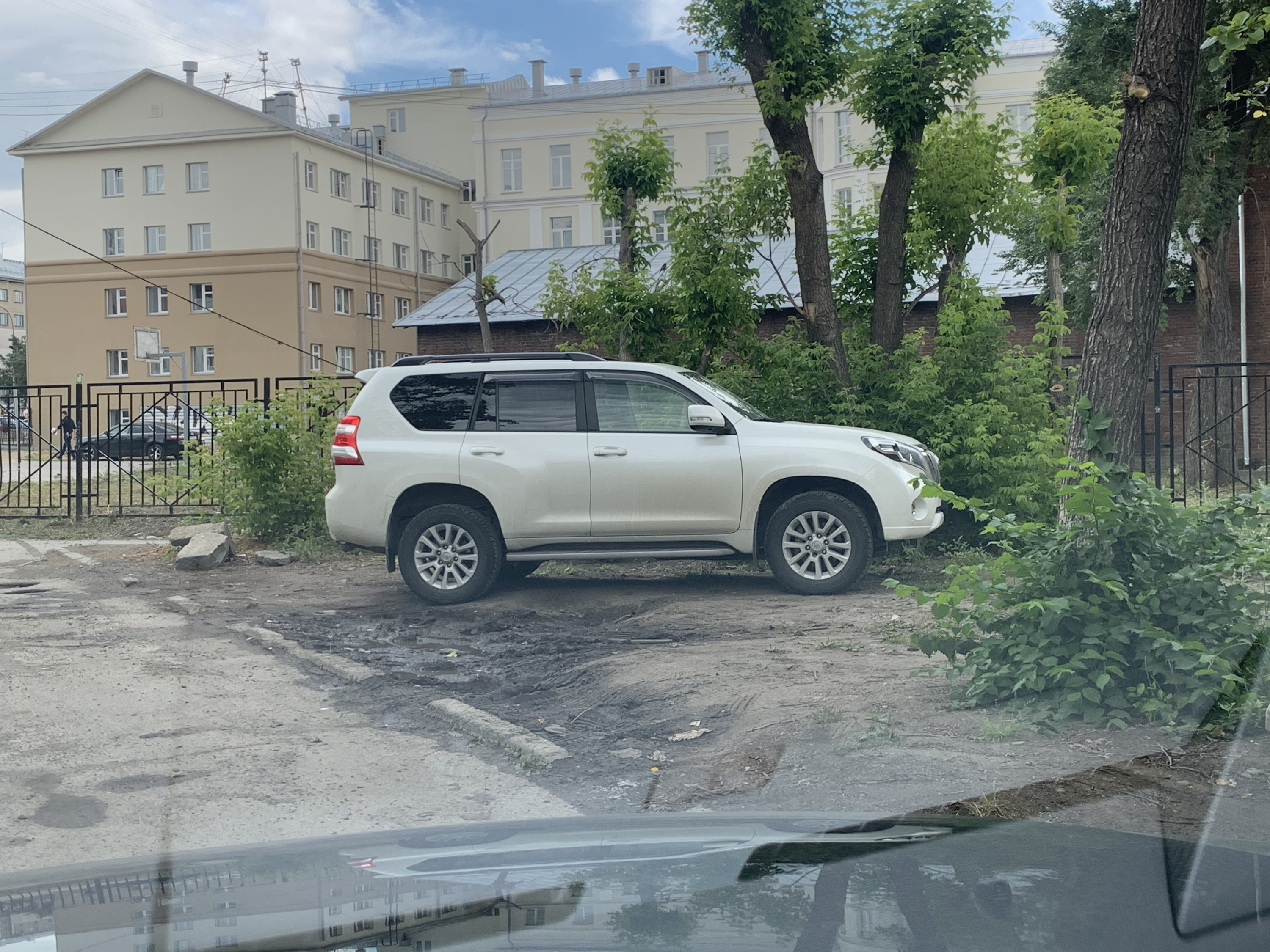 «Прадо» на газоне «Прадо» на газоне