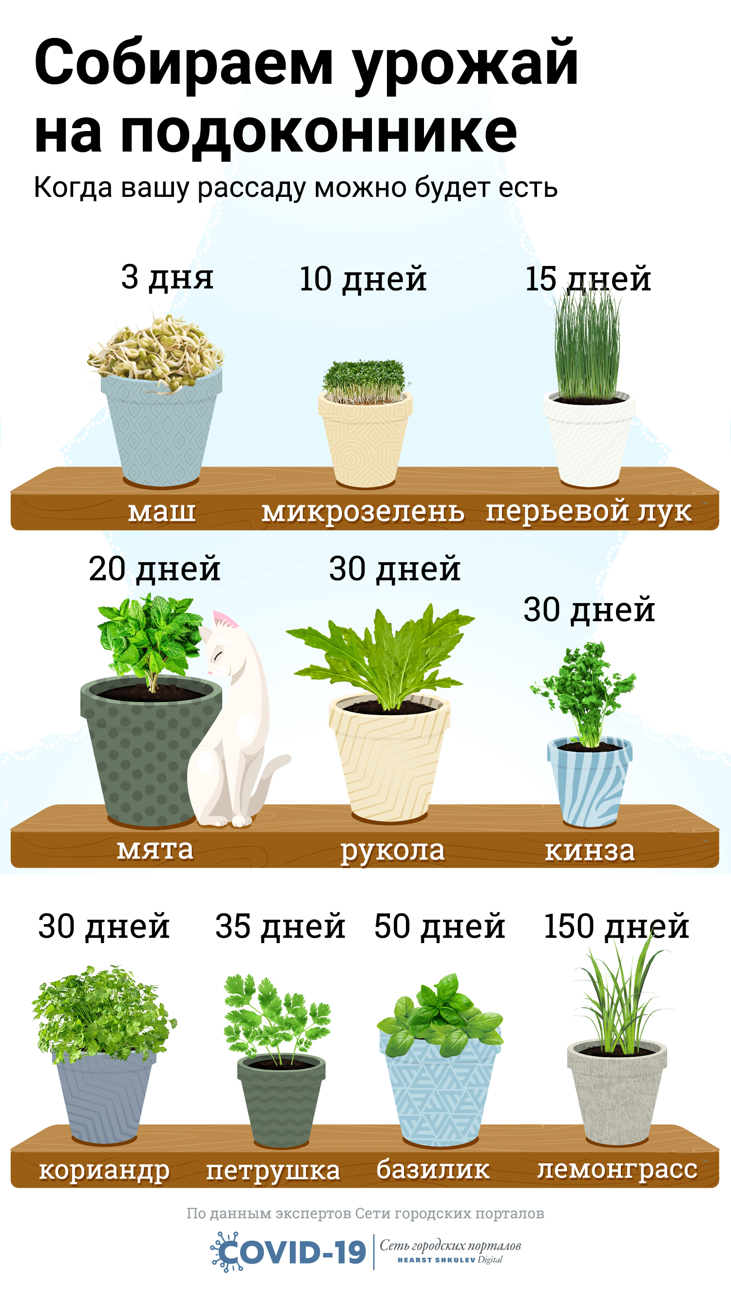 Наборы для выращивания растений