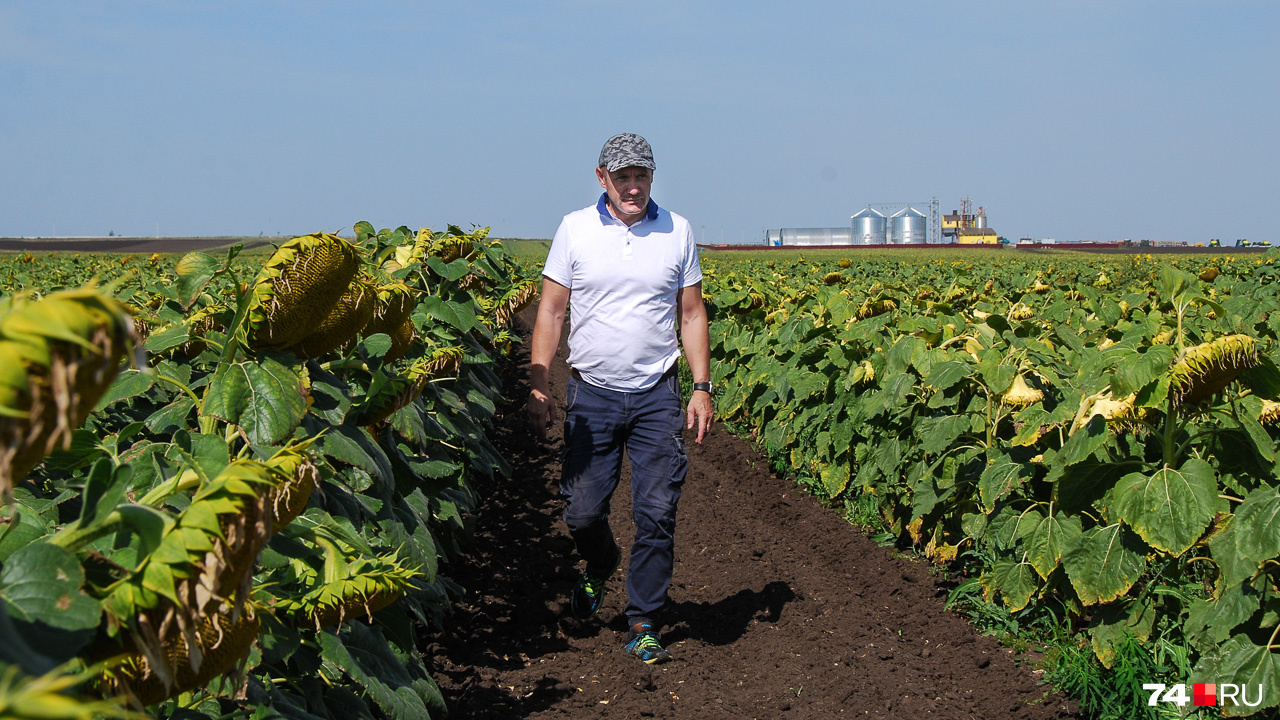 Фермер Денис Шумских идёт вдоль полей подсолнухов. На фоне — его впечатляющая ферма