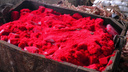 В Самаре уничтожили 3 килограмма красной икры