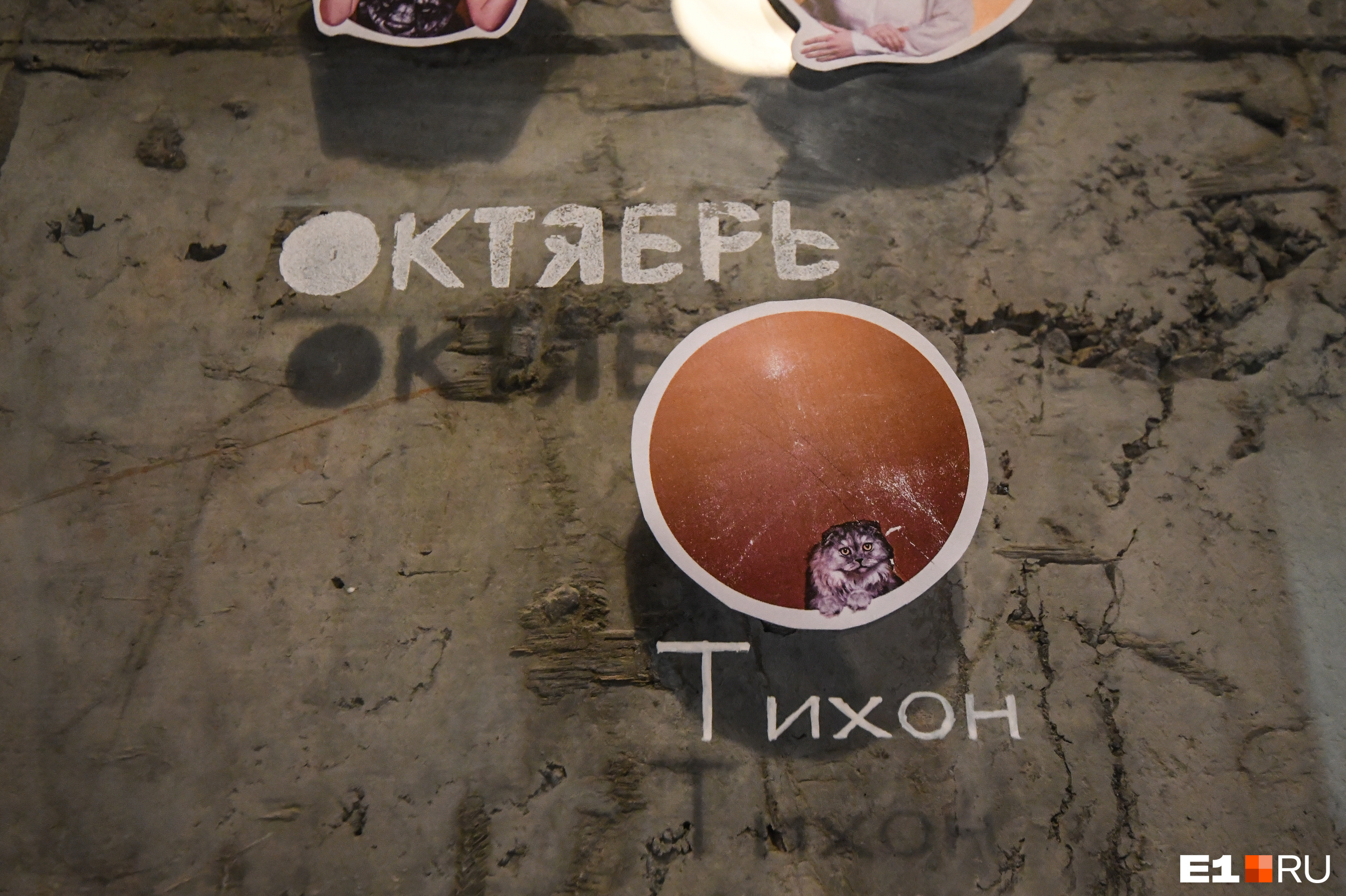 Фотографию кота также можно найти на стене в холле, так как он — один из сотрудников