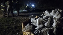 550 мешков загрязненного грунта: спасатели ликвидировали разлив мазута на Бревеннике