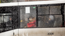 «Это очень опасно»: ярославцы пожаловались властям на автобус-разносчик <nobr class="_">COVID-19</nobr>