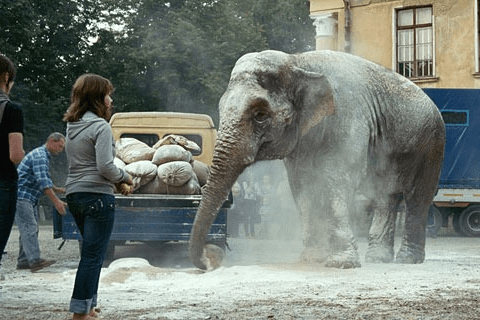 На съемках фильма «Слон». Интересно, кто это — Магда или Дженни?