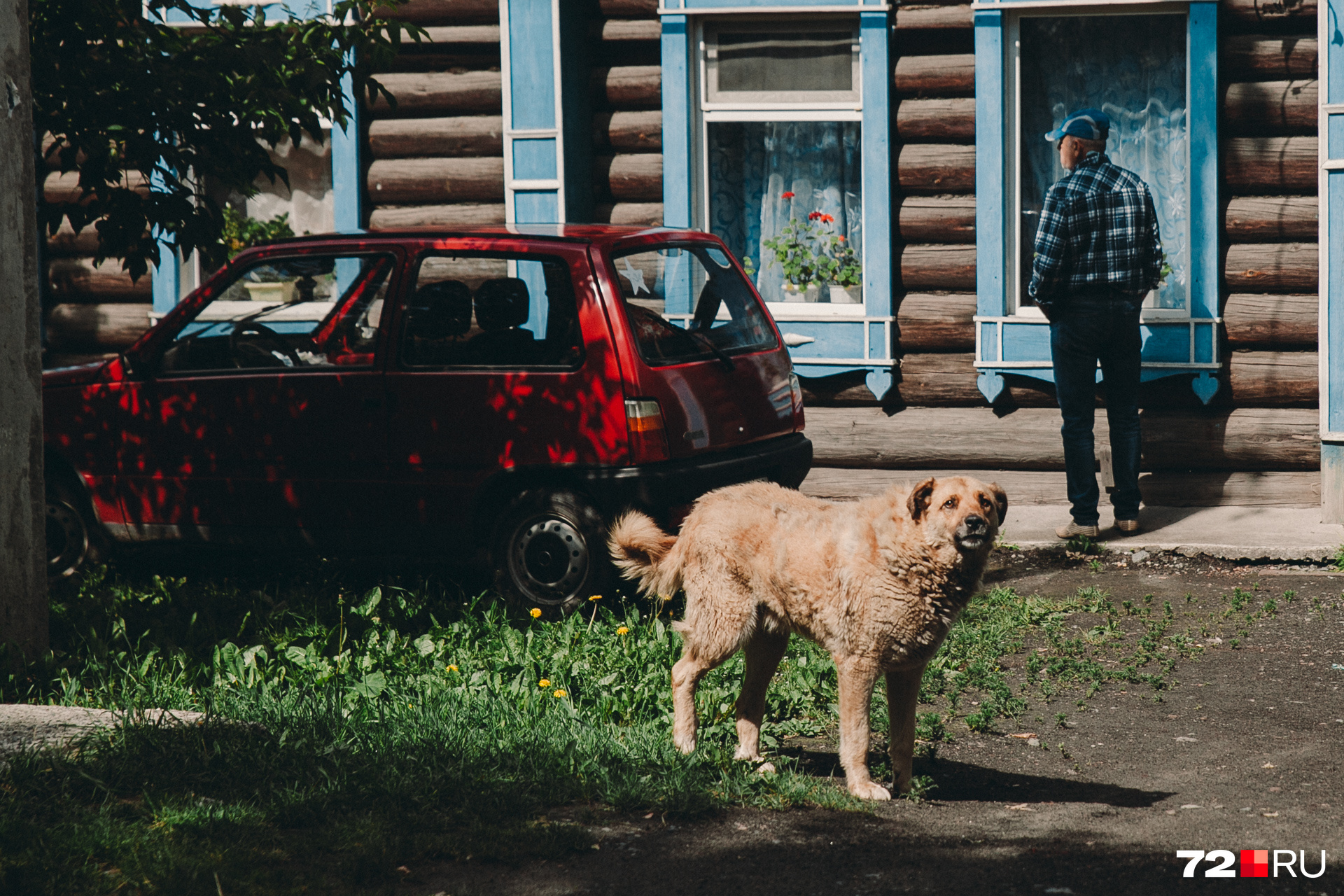 Бродяга с грустными глазами Бродяга с грустными глазами