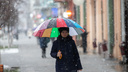 Мокрый снег и ветер: в Ростовской области резко ухудшится погода
