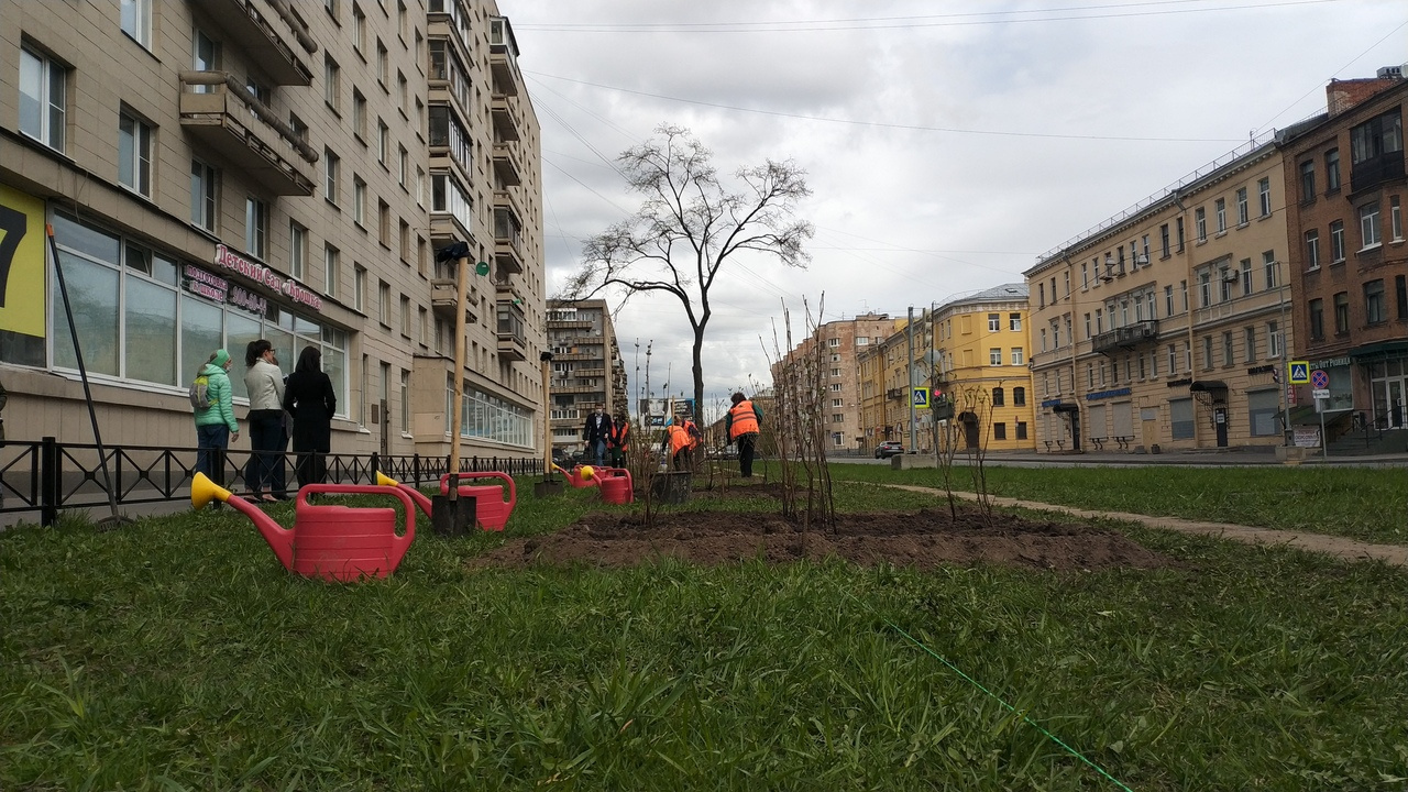 Санкт петербург комитет по благоустройству сайт