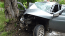В Архангельске автомобиль врезался в дерево — его водитель был пьян и без прав