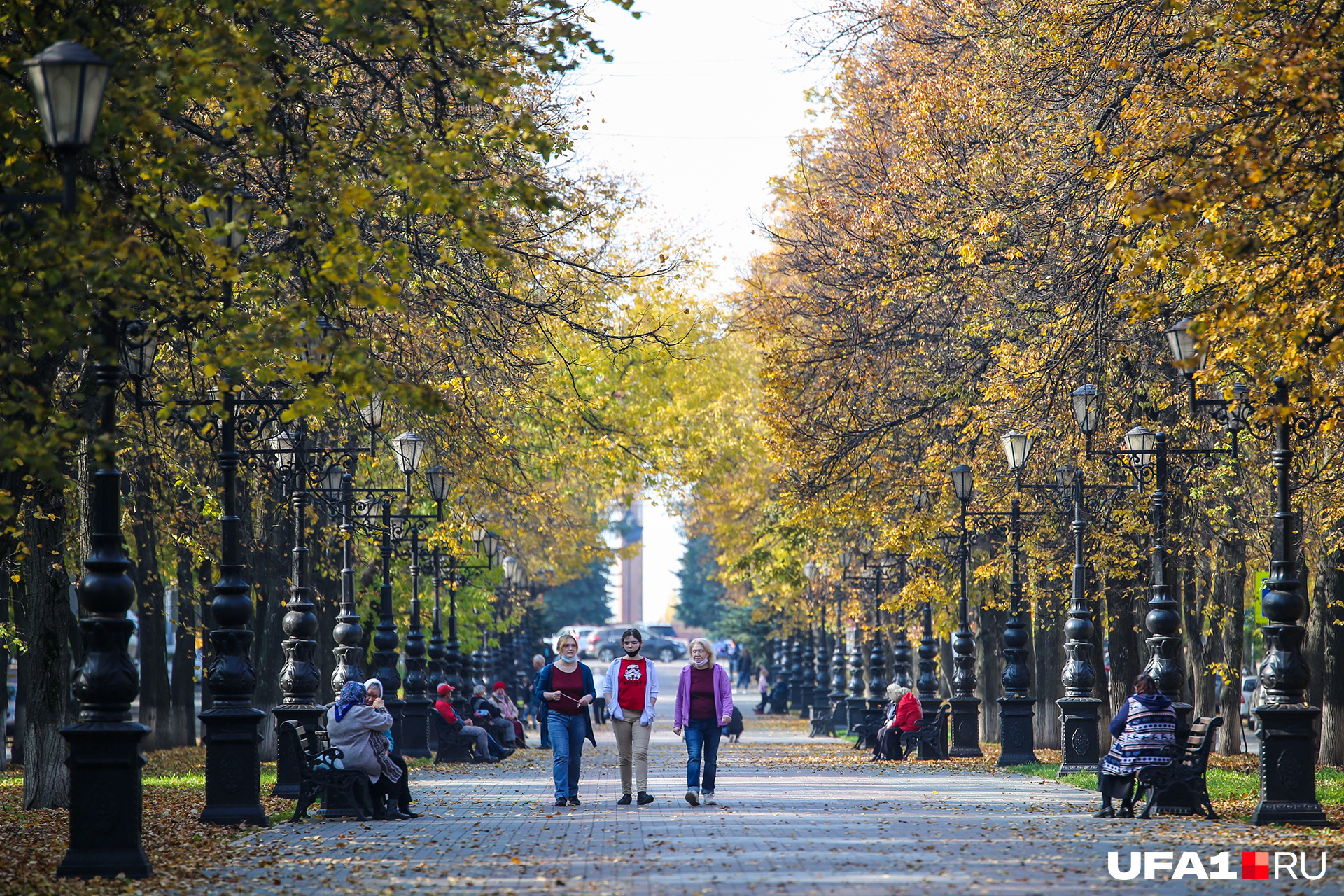 Фото о черниковке