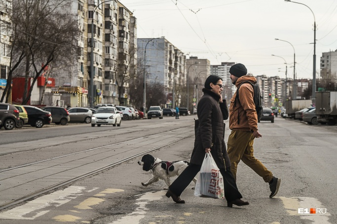 На пешеходных переходах Екатеринбурга не разбежаться — какая уж тут дистанция в 1,5 метра