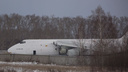 Полосу освободят только через 2 часа: из-за выкатившегося самолета рейсы из Новосибирска отправляют в Кемерово