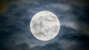 Ночью над Новосибирском взошла огромная Луна — пять впечатляющих кадров