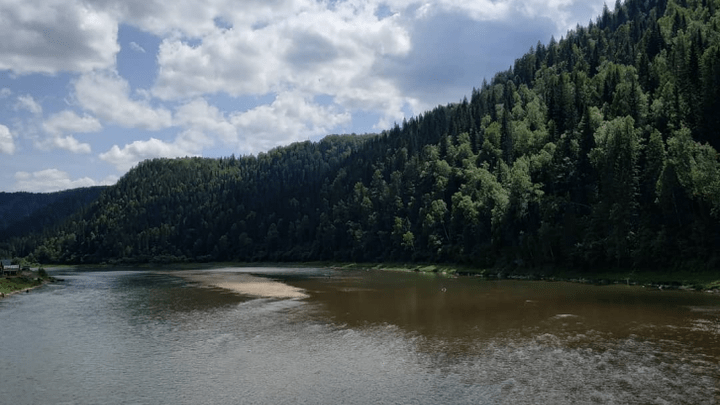 Кузбасские золотодобытчики получили штрафы за загрязнение рек региона