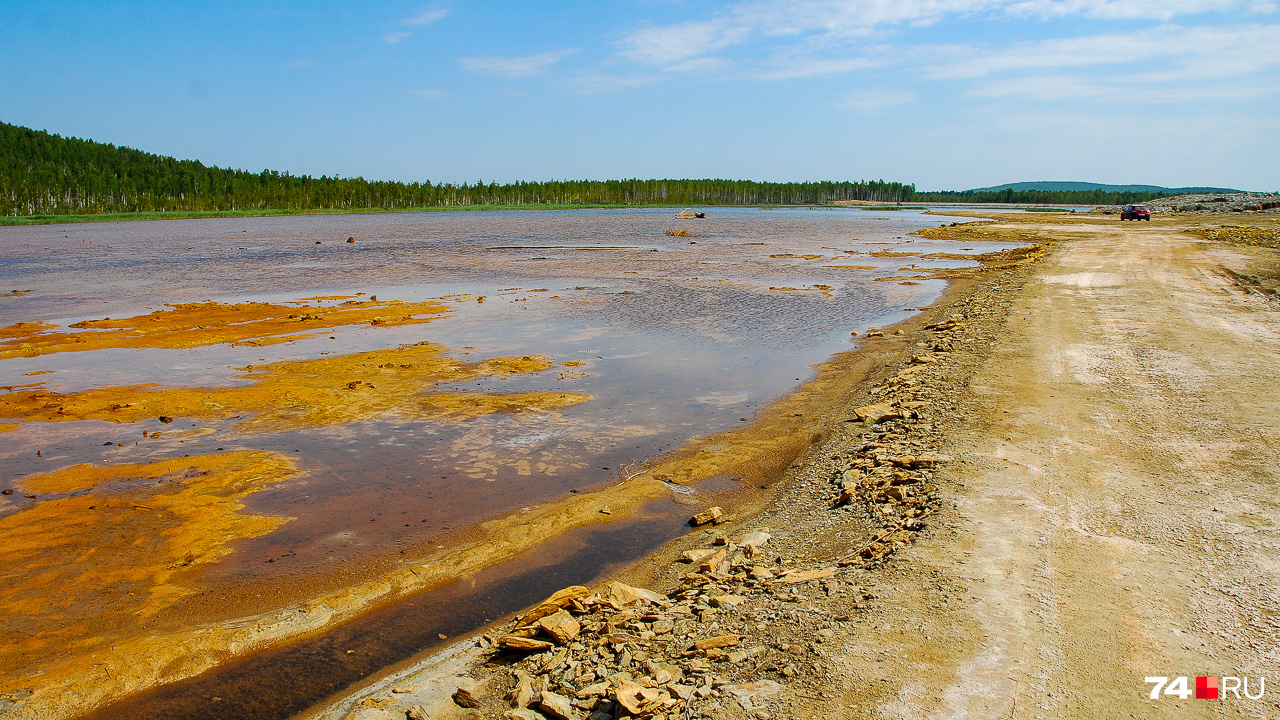 Пруд — это разлив в загрязнённой пойме Сак-Элги прямо перед её впадением в Миасс