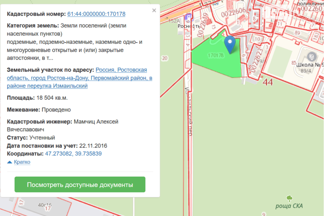 Будет ли парковка на месте рощи СКА в Ростове: что надо знать о конфликтеперед судом 10 августа - 7 августа 2020 - 161.ru