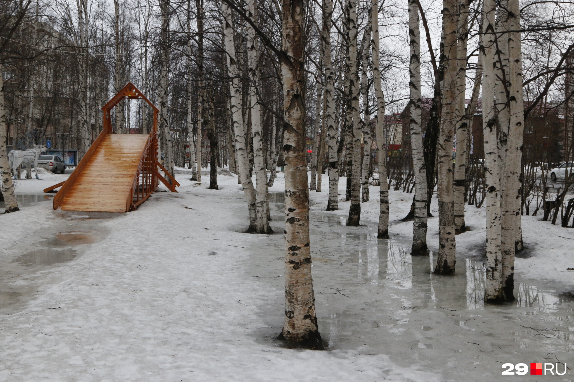 По словам Ольги Худяковой, задача у власти и у городских активистов общая — сохранить максимальное количество взрослых деревьев в скверах и парках Архангельска