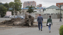 «Просто пустыри»: в Челябинске за 200 миллионов вырубят полторы тысячи деревьев и посадят новые