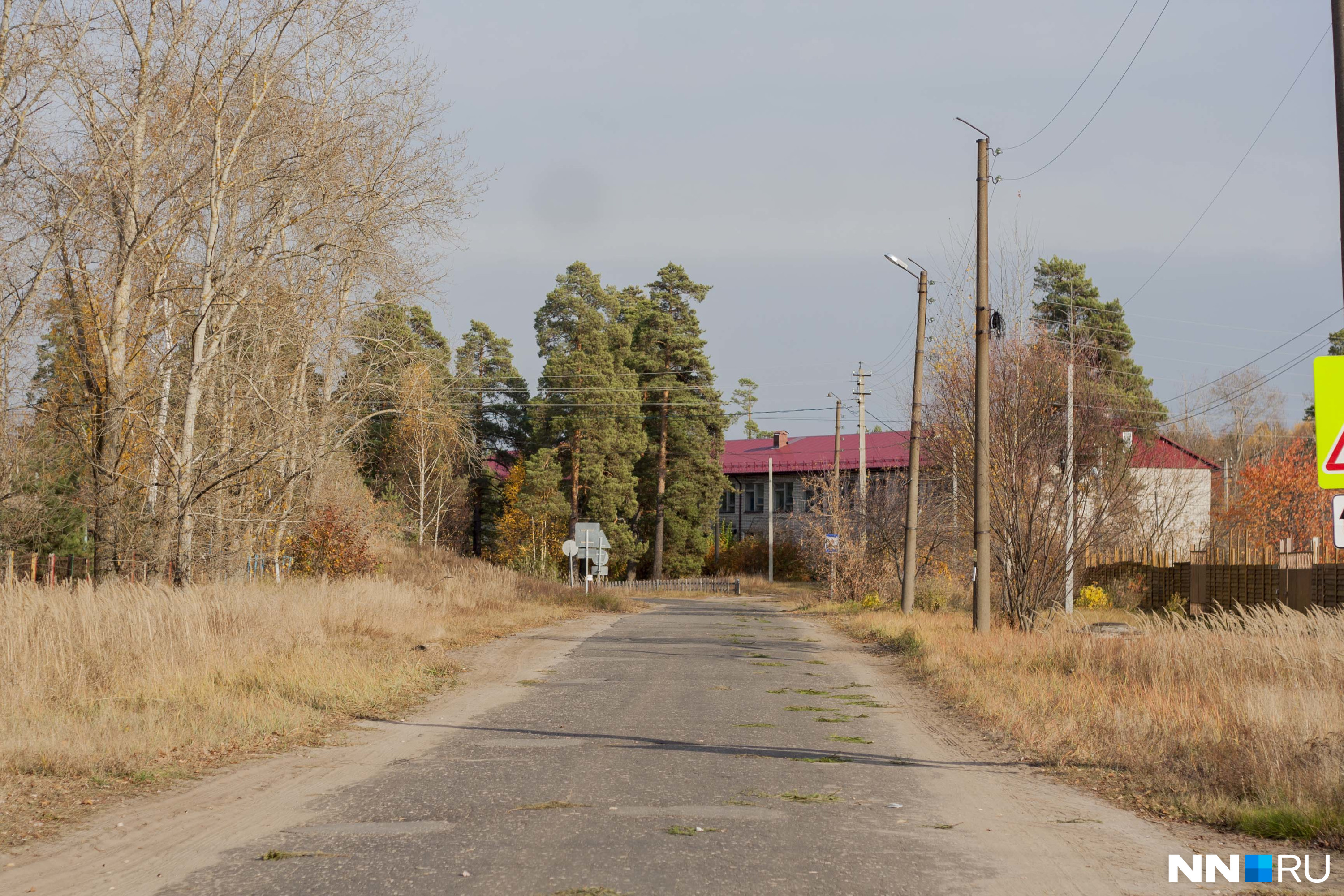 Погода в большеорловском поселке