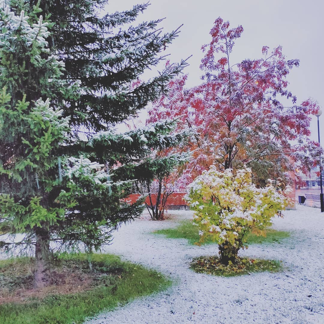 Осень в Красноярске снег
