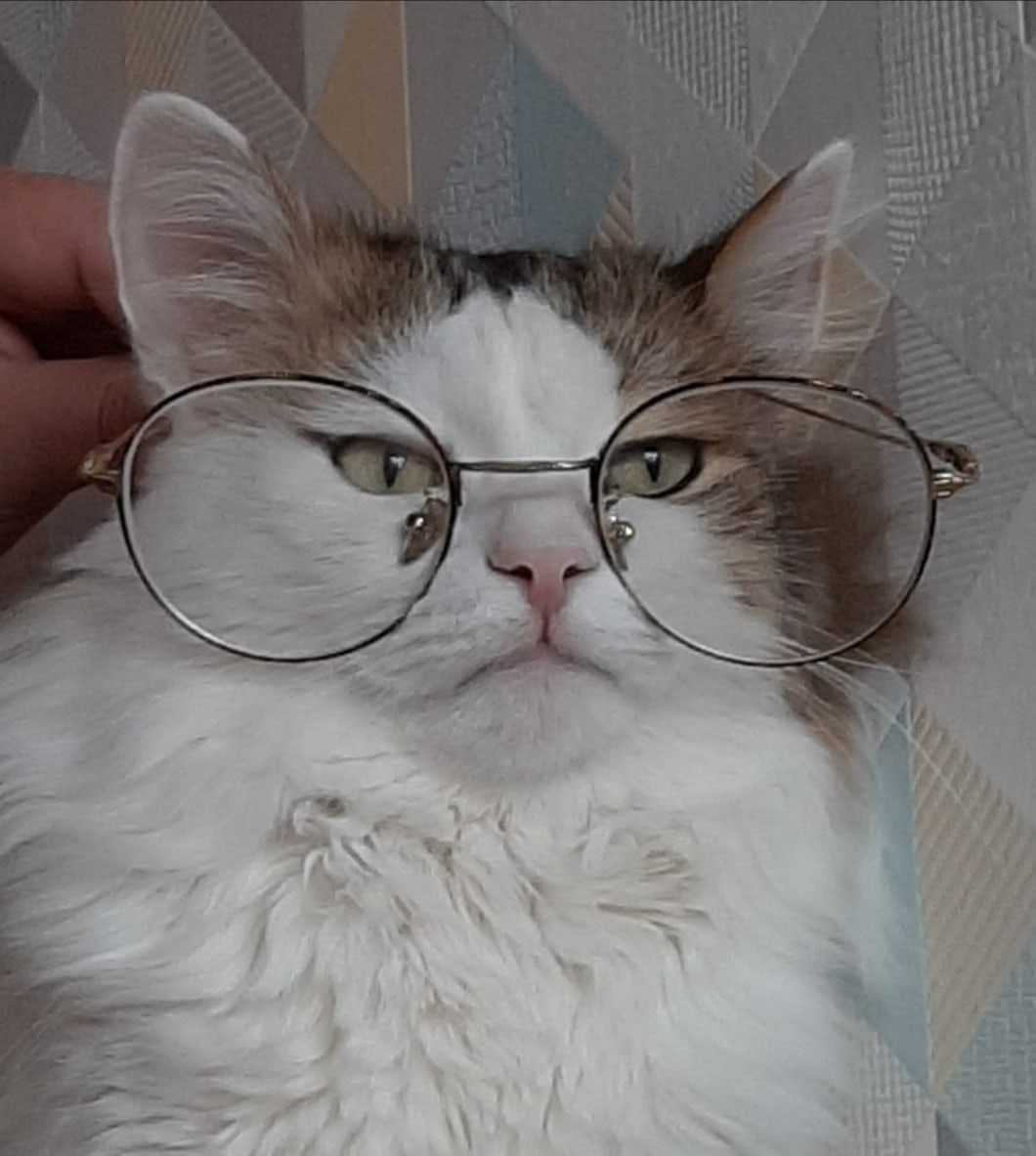 Ученый кот