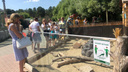 «Народ идёт и идёт»: челябинцы в жару столпились в зоопарке из-за приглашений от депутата