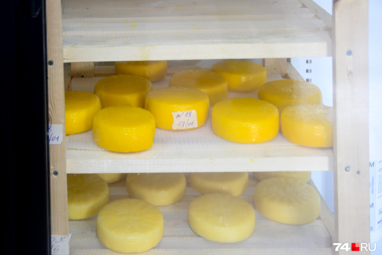 В Султаново делают несколько сортов сыра, включая довольно экзотические, например, инжирный