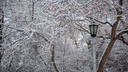 Морозы или потепление? Какая погода ждет жителей Новосибирска на грядущей неделе