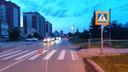 Под Новосибирском водитель на красной машине сбил 11-летнюю девочку и скрылся