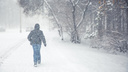 По Новосибирску ударят 30-градусные морозы: изучаем прогноз погоды на неделю