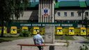 Заболеваемость ковидом в Новосибирской области выросла на 10% за неделю