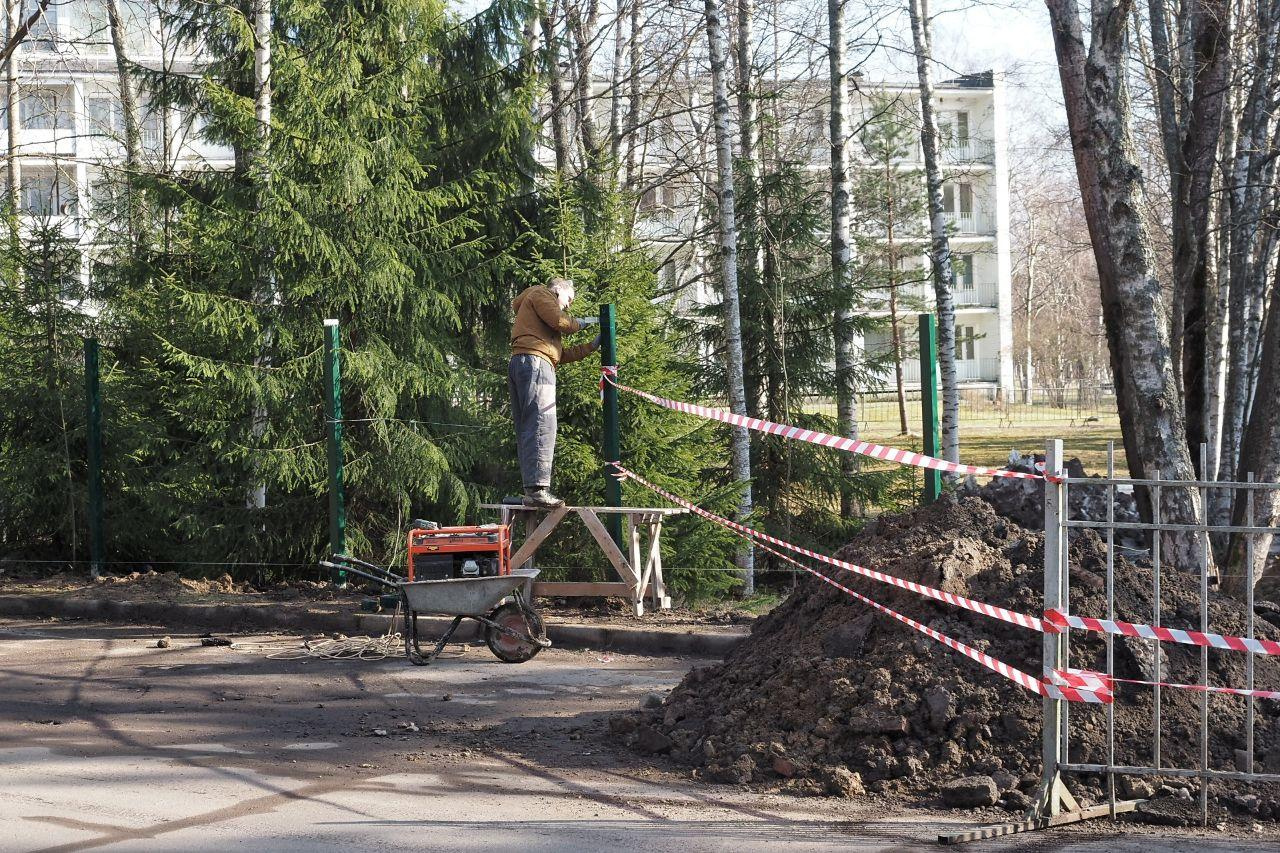 заря пансионат репино