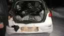 В Зауралье у браконьера за незаконный отстрел двух лосей конфисковали автомобиль