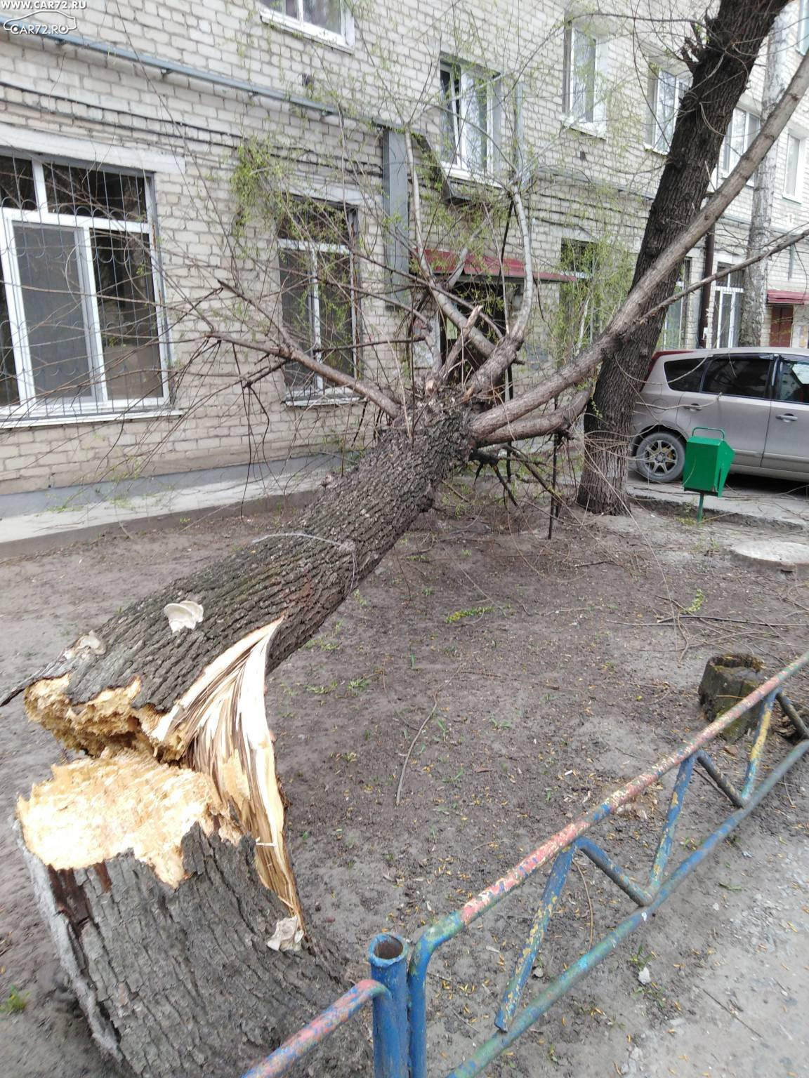 От дерева остался один пенек От дерева остался один пенек