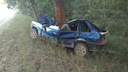 Подросток из Новосибирска погиб за рулём — ночью он врезался в дерево