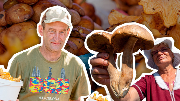 Лисички — из Мишкино, белые — из Чебаркуля: какие грибы продают на рынках и сколько они стоят